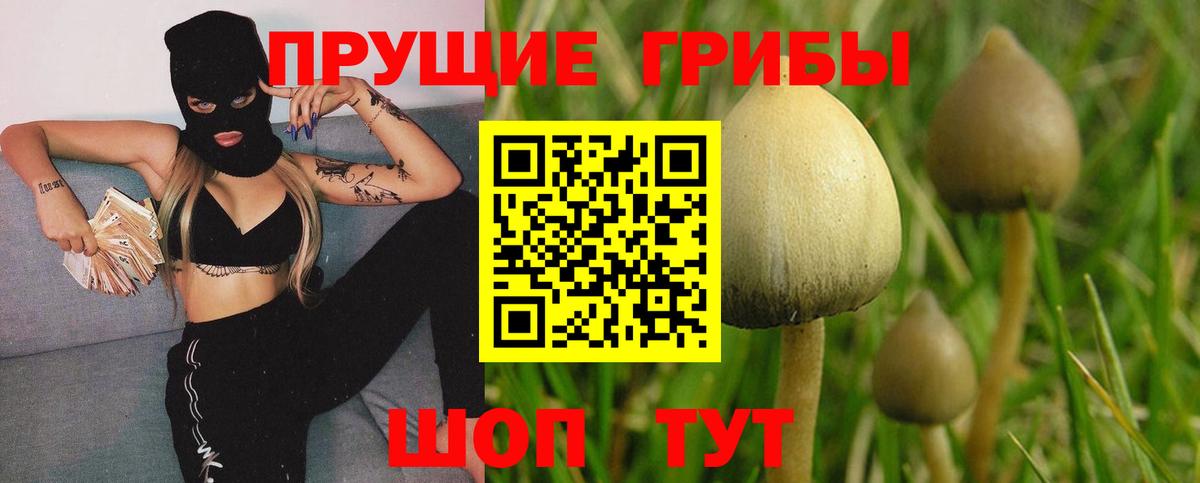 Псилоцибиновые грибы Psilocybine cubensis  Вход с VPN  Обь 